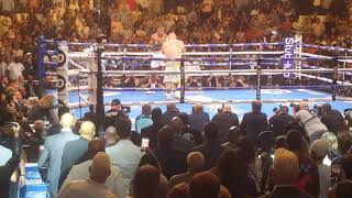 Anthony Joshua vs Andy Ruiz  Round 3 Knockdowns 060119 [upl. by Oremor]