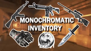 CS2  Fully MonoChromatic themed inventory  Black and White [upl. by Sillihp]