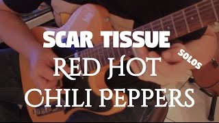 Red Hot Chili Peppers quotScar Tissuequot Os Maiores Solos Fabio Lima [upl. by Enaira]