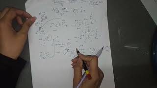 Vilsmeier Haack Reaction with PyrolleFuran and Thiophene  Heterocyclic Compound  Must Watch [upl. by Eldin]