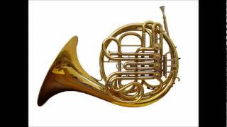 Mozart  Horn Concerto No 2 in E flat K 417 complete [upl. by Ramberg569]