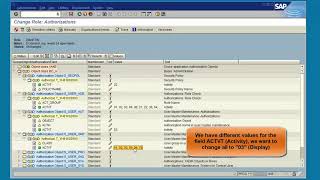 SAP Security PFCG mass maintenance options for authorization maintenance [upl. by Surovy]