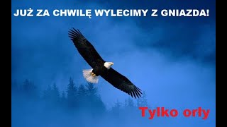 Tylko Orły  JUŻ ZA CHWILĘ WYLECIMY Z GNIAZDA [upl. by Harim771]