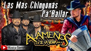 POPURRI ALAMEÑOS DE LA SIERRA  LAS MAS CHINGONAS PA BAILAR MIX 2025 [upl. by Desirae]