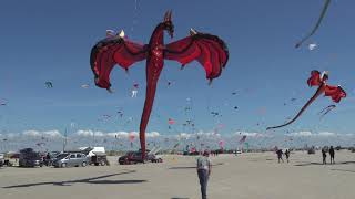 1000s of flying kites on the beach Fanø Denmark 🇩🇰 [upl. by Retxab]