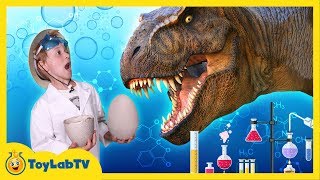 Giant Life Size Dinosaur Eggs Hatch Dinosaurs amp TRex Escape from Dino Park in Fun Kids Toy Video [upl. by Orutra]