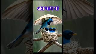 মা এর ভালো বাসা দেখুন কি সুন্দর মাmomshots [upl. by Nahum]