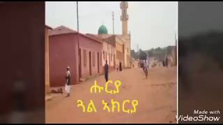 eritrean music krar fgra huruya gal akrya [upl. by Ahsahtan746]