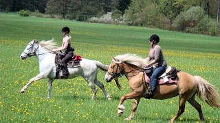 Westernreiten in Deutschland mit PFERD amp REITER [upl. by Reizarf]