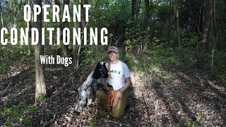 OPERANT CONDITIONING  UNDERSTANDING DOG TRAINING [upl. by Ettelra]