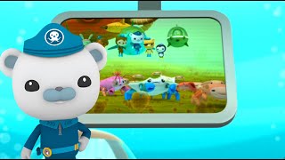 Octonauts  Creature Report  Algae UK [upl. by Sumetra]