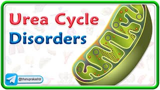 Urea Cycle Disorders Animation  USMLE Step 1 [upl. by Kloman]