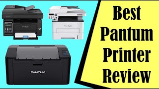 Best Pantum Printer Reviews Expert Recommendation [upl. by Cnut209]