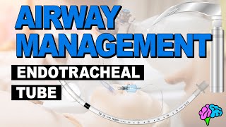 Anatomy of the Endotracheal Tube ET Tube  Airway Management [upl. by Atinat]