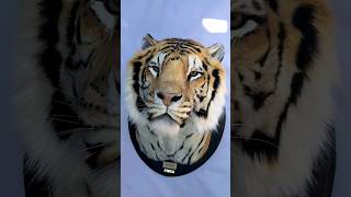 Tiger Reproduction mount Faux Taxidermy Art taxidermy tiger art [upl. by Munafo748]