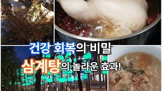 삼계탕 무조건 먹어야 해요Samgyetang Samgyetang [upl. by Flower301]