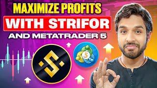 Is This the Ultimate FOREX and CFD Broker Youve Been Waiting For STRIFOR Broker [upl. by Hobart]