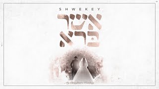 יעקב שוואקי  אשר ברא  ft Menachem Shwekey Yaakov Shwekey  Asher Bara [upl. by Austine]