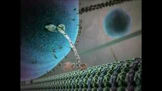 Kinesin protein walking on microtubule [upl. by Studnia540]