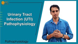 Urinary Tract Infections UTI Pathophysiology and Treatments [upl. by Eitsyrc]