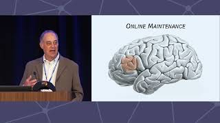 CNS 2023 Mark DEsposito MD quotA Tale About the Frontal Lobe as Told by a Neurologistquot [upl. by Fein]