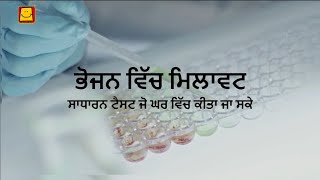 Adulteration in Food Punjabi  ਭੋਜਨ ਵਿੱਚ ਮਿਲਾਵਟ [upl. by Nilauqcaj]