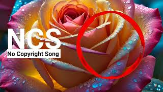 Dil Diyan Gallan No Copyright Song  Dil Diyan Gallan Song  Dil Diyan Gallan [upl. by Aneis]