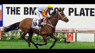 Cox Plate Legends Sunline [upl. by Manvell992]