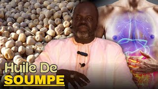 Bienfaits Huile de SOUMPE  Pr Ousmane Ndiaye  LansarrTV [upl. by Trust]