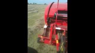 Massey and Welger 245RP baling hay 2012 [upl. by Konstantin]