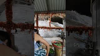 panchalingeswar harharmahadev baleswar odiabhajan odiashorts viralvideo viralreels [upl. by Groveman]