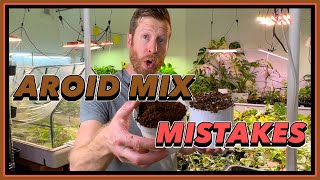 6 AROID MIX Mistakes to AVOID  Rare Plant Potting Mix [upl. by Randolf343]