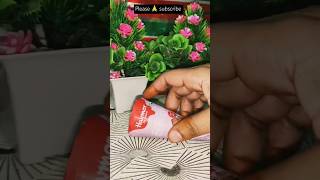 Havmor icecream🍦🍫🤤chocolate icecream trending asmr viralvideo sheebaskitchen youtubeshorts [upl. by Zipah]