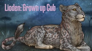 Lioden Grown up Cub [upl. by Imelda]