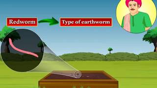 Vermicomposting  Macmillan Education India [upl. by Nivan]