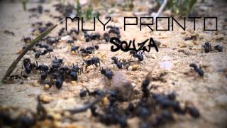 Trailer Selva De Pedra [upl. by Camey203]