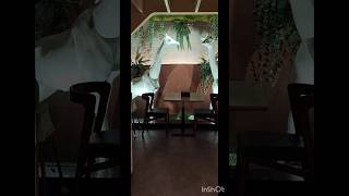 Papadams blue restaurant at Hyderabad hyderabadbiryani trendingshorts vitalshorts youtubeshorts [upl. by Doe386]