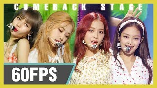 60FPS 1080P  BLACKPINK 블랙핑크  Dont Know What To Do Show Music Core 20190406 [upl. by Hollis52]