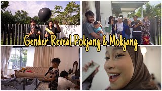 Gender Reveal Anak Abang Eyra  🥰  VLOG 2408 [upl. by Allecnirp814]