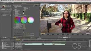 Tutorial Premiere CS55 Corrección de Color delmundoaudiovisualblogspotcom [upl. by Joash955]