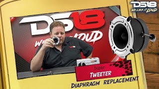 How to Repair Paradigm Aluminum Dome Tweeter Voice Coil Replacement [upl. by Olraced]