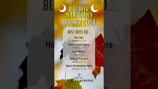 Best Days in the Garden October 2024 [upl. by Analad]