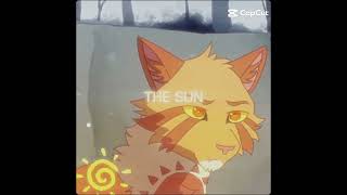 Sunstaramp Moonflower Credits in biowarriorcats warriorcatsultimateeditioncodes [upl. by Fredericka191]