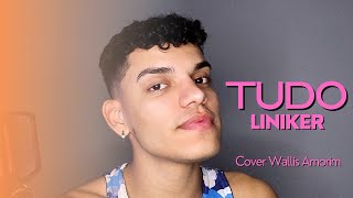 TUDO  Liniker Cover Wallis Amorim [upl. by Linehan]