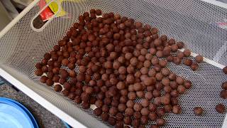 Making Creamy FishmealSquid boilies [upl. by Earazed230]