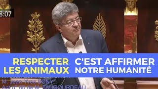 RESPECTER LES ANIMAUX CEST AFFIRMER NOTRE HUMANITÉ  Mélenchon [upl. by Adnorrehs]