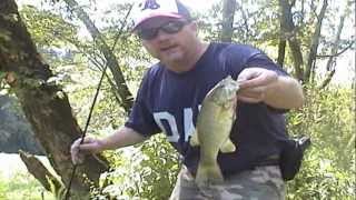 Catching Hellgrammites for bait to catch river smallmouth bass and other fish [upl. by Lynnette]