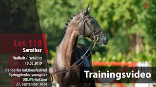 Auktionsfestival Training Lot 110 Sanzibar Wallach v Sandro Junior  Carolus I [upl. by Ingemar]