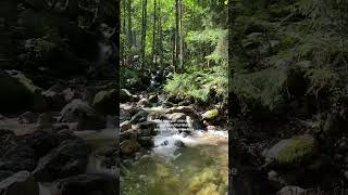 bavariaGermany bavarianature berchtesgadentraveling [upl. by Malloch193]