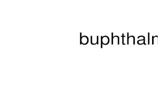 How to pronounce buphthalmos [upl. by Isdnyl]